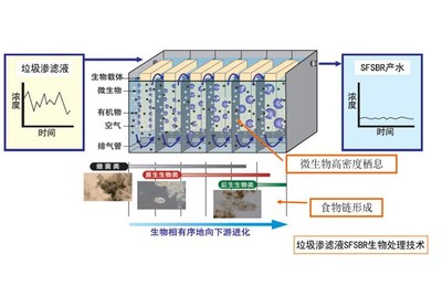 电厂污水药剂-南宁污水药剂-碧波水处理