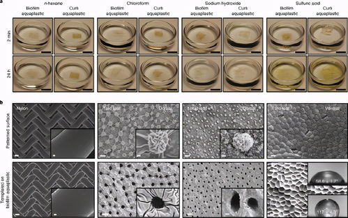 哈佛大学 nature chemical biology 生物膜水处理生物降解和涂覆水塑料